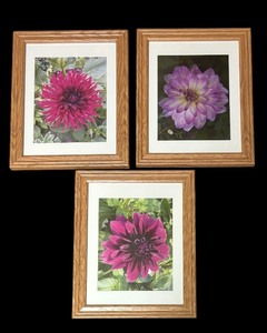 lot 267 image: Three Framed Flower Photographs