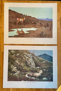 lot 453 image: Unframed Les Kouba Pronghorns at the Water Hole Print & Unframed Les Kouba Stones in the Ketchikan Range Print