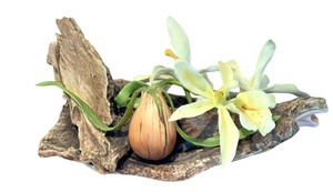 lot 222 image: Vintage Limited Edition Boheme Bone Porcelain Wall Hanging Floral Figurine