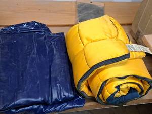 lot 138 image: Sleeping Bag and Air Mattress 29x75