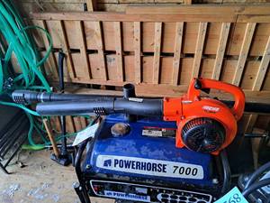 lot 894 image: Echo 25.4cc Professional-Grade 2-Stroke Gas Blower PB-250LN with Gutter Cleaning Attachment