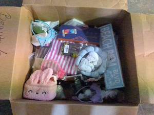 lot 70 image: Assorted Lot of Cute Accessories and Beauty Items