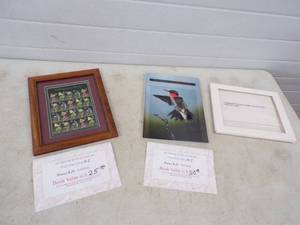 lot 15 image: Carnivores Plants Framed Postage Stamp 1993 Commemorative Stamp Collection No. 8992