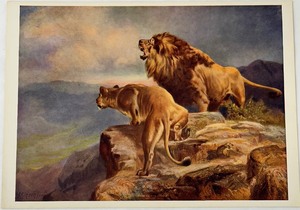 lot 97 image: R. Atkinson Fox In the Enemys Country Print