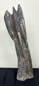 lot 125C image: Fossil Sculpture
