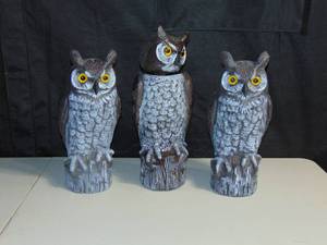 lot 74 image: 3 Pack Fake Owl Decoy to Scare Birds Away from Gardens,