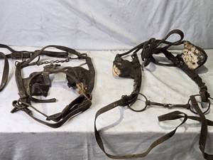 lot 9 image: Vintage Horse Blinders