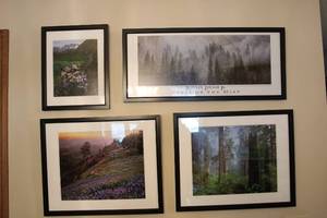 lot 449 image: Collection of 4 Framed Nature Photographs by Rodney Lough Jr.