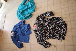 lot 526 image: Lot of 3 Stylish Womens Blouses - Sizes XL, Petite, and L