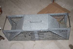 lot 643 image: Galvanized Metal Live Animal Trap for Catching Small Animals