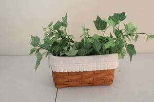 lot 257 image: Longaberger Handwoven Basket with Green Ivy Filler