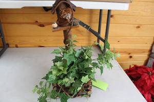 lot 398 image: Decorative Wooden Birdhouse with Faux Ivy