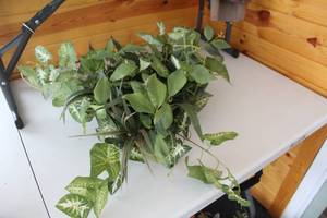 lot 415 image: Realistic Artificial Potted Plant Arrangement - Floral Decor