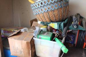 lot 593 image: Gardening Supplies Lot Including Miracle-Gro, Tools, and Accessories