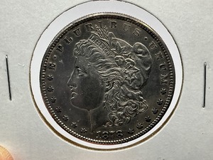 1878-S Morgan Dollar