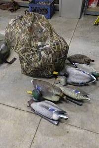 lot 361 image: 16 Mallard Decoys