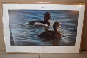 lot 78 image: Unframed Karen Latham Ducks Unlimited Print - Ringbills - 36545000