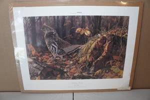 lot 77 image: Unframed Bruce Miller Ducks Unlimited Print - Autumn Magic - 42976000