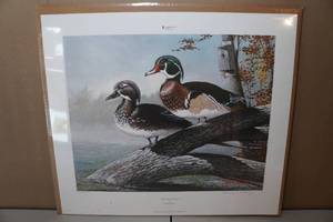 lot 79 image: Unframed Randall Raduenz Ducks Unlimited Print - Woodland Woodies - 27564500