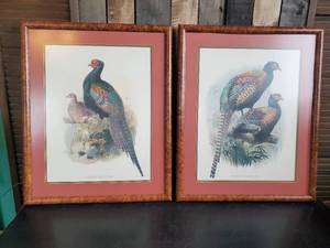 2 Gorgeous Phesant Prints with Great Color