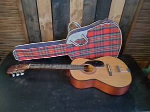 Cool Viking Guitar With Dixon Plaid Case