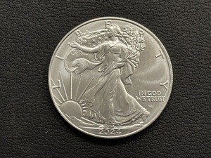 2024 Silver Eagle