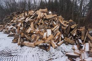 Truck Bed Load of Mixed Species Pre Cut and Split Firewood