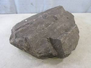lot 148 image: (EC1) Large Petrified Wood - Approx...