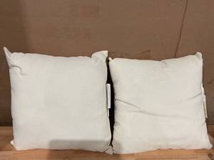 lot 403 image: LOT OF 2 Patio Pillows