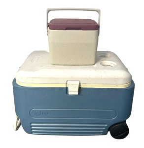 lot 308 image: Coleman and Igloo Coolers