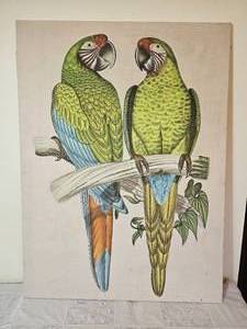 lot 102 image: William Cooper Australian Artist Vintage Print on Fabric  Military & Buffons Macaws