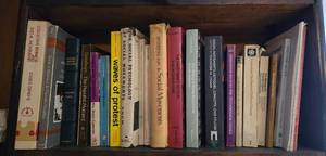 lot 302B image: Anthropology  Sociology Book Collection - B - Radicalism & Revolution Theory