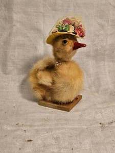 lot 359 image: Taxidermy Easter Duckling