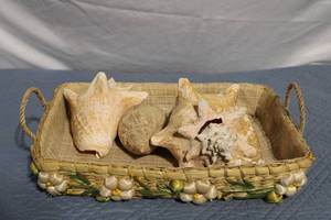 lot 128 image: Decorative Wicker Tray with Shells