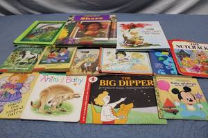 lot 216 image: Collection of 14 Childrens Books Including Disney and Scholastic Titles