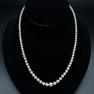lot 71B image: Calibrated White Cultured Pearl Single Strand Necklace w 14k Gold Clasp