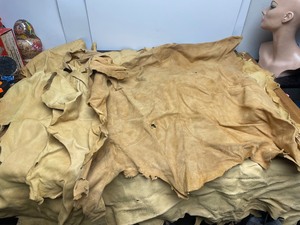 lot 97 image: Lot of 5 Tanned Deer Hides