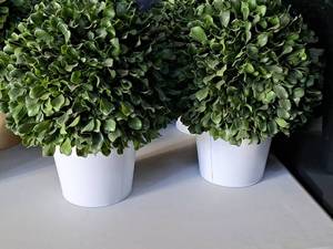 lot 1501 image: Lot of (2) Decorative Faux Plants in White Pots