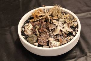 lot 35 image: Decorative Bowl with Assorted Dried Plants and Shells