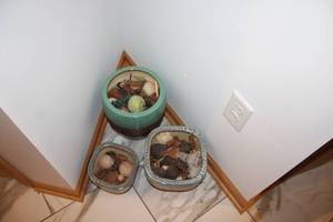 lot 117 image: Set of 3 Decorative Ceramic Pots with Pinecone and Fruit Accents