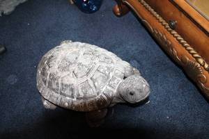 lot 266 image: Large Stone Garden Turtle Statue