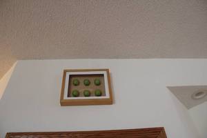 lot 270 image: Framed Wall Art with Green Spheres