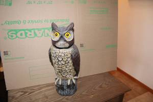 lot 377 image: Realistic Owl Decoy with Mounting Base