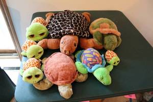 lot 418 image: Collection of 8 Assorted Turtle Plush Toys with Patterns
