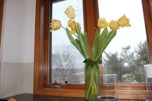 lot 470 image: Glass Vase with Abstract Design and Floral Arrangement