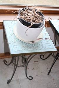 lot 537 image: Decorative Plant Stand with Metal Legs