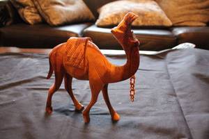 lot 543 image: Mixed Items Handcrafted Wooden Camel Figurine, Potted Cactus, Garden Hose, Miniature Bat, and Media Collection