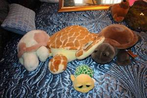 lot 574 image: Collection of 5 Turtle Plush Toys with Various Designs