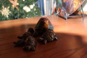lot 588 image: Set of Hand-Carved Wooden Turtles Including Mother and 5 Babies