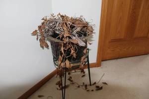 lot 622 image: Decorative Planter with Dried Foliage and Metal Stand